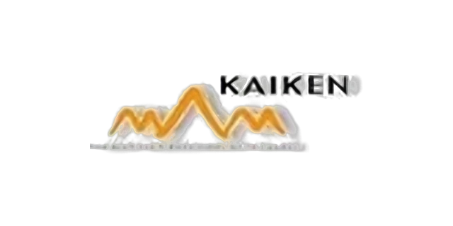 Kaiken
